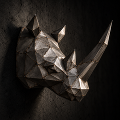 Rhino Kit